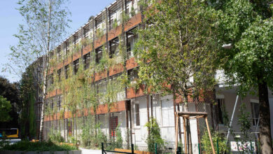 Eine vorgebaute Grünfassade kühlt das Bürogebäude der Arbeiterkammer Vorarlberg in Feldkirch und erspart den nachträglichen Einbau einer Klimaanlage. Nach drei Jahren wird die Fassade vollständig zugewachsen sein und ihre Kühlwirkung voll entfalten. An einem Sommertag werden die Pflanzen bis zu 2.500 Liter Wasser verdunsten und so die Gebäudewand erheblich abkühlen. © Conrad Amber