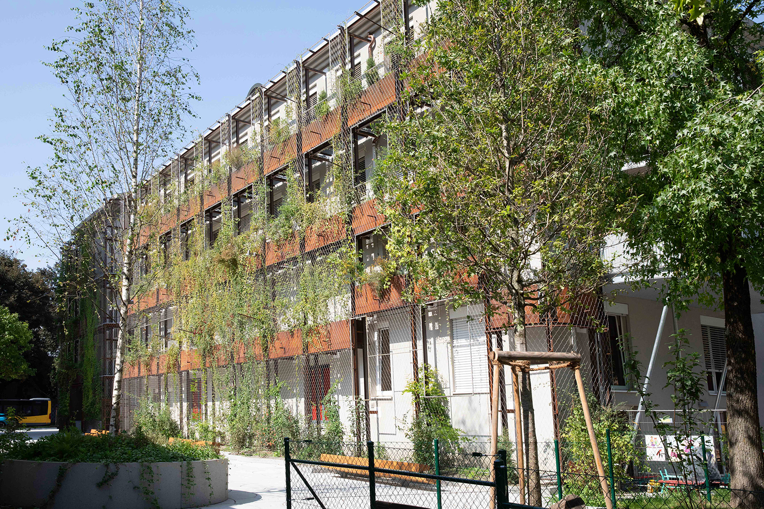 Eine vorgebaute Grünfassade kühlt das Bürogebäude der Arbeiterkammer Vorarlberg in Feldkirch und erspart den nachträglichen Einbau einer Klimaanlage. Nach drei Jahren wird die Fassade vollständig zugewachsen sein und ihre Kühlwirkung voll entfalten. An einem Sommertag werden die Pflanzen bis zu 2.500 Liter Wasser verdunsten und so die Gebäudewand erheblich abkühlen. © Conrad Amber