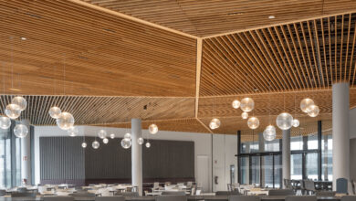 Die Massivholzrasterdecke von Hunter Douglas Architectural im neuen Continentale Campus in Dortmund. © UDO GOERISCH