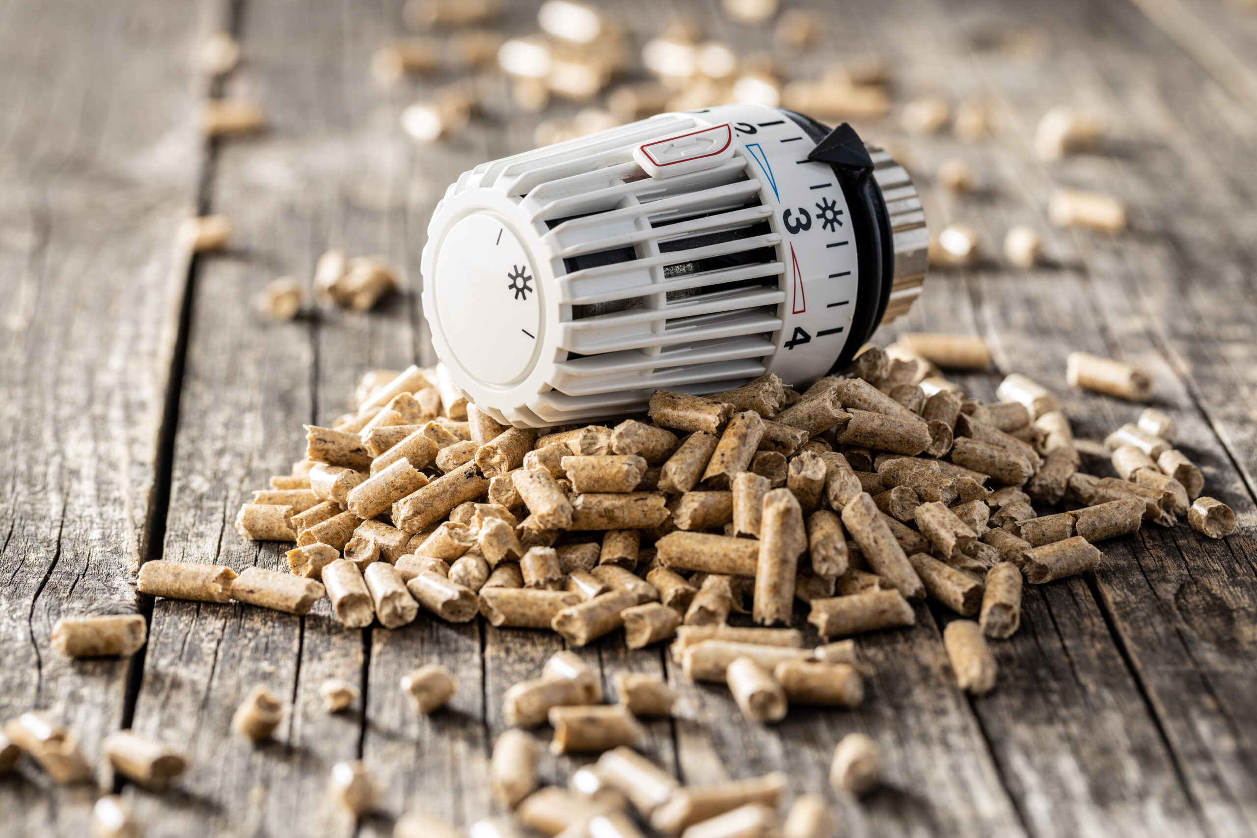 Biomasseheizungen: in 2024 fast auf Rekordniveau. Copyright: jirkaejc istock getty images plus