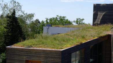 Sollen Gründächer in Holzbauweise ausgeführt werden, muss sichergestellt werden, dass entweder kein Kondensat an den Holzbauteilen entsteht oder angefallenes Kondensat wieder schadenfrei abtrocknen kann. © Fricke