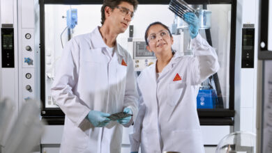 Mit Innovationen gegen die Krise: Bauchemieanbieter. Copyright: Sika Österreich