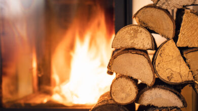 Holzscheite vor Ofen © Bastian Weltjen iStock Getty Images Plus