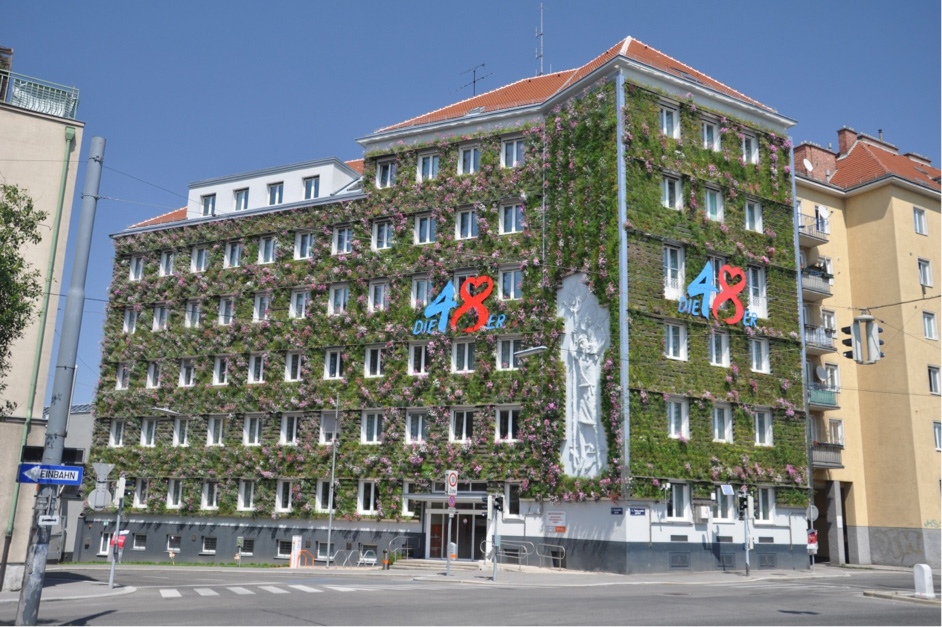 Ein Dauermess-objekt des Projekts HEDWIG ist die wandgebundene Fassadenbegrünung im Headquarter der Wiener Magistratsabteilung MA48. © Grünstattgrau