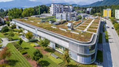Bifaciale PV-Systeme wie das „SOLon“-System von Dachgrün bedeuten den geringsten Eingriff für eine vorhandene Vegetation. ©