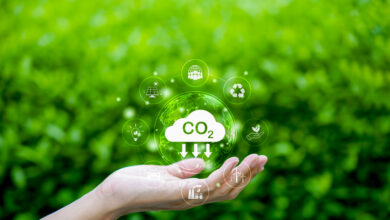 Grün kann günstig. Copyright: Supatman-istock-getty-images-plus