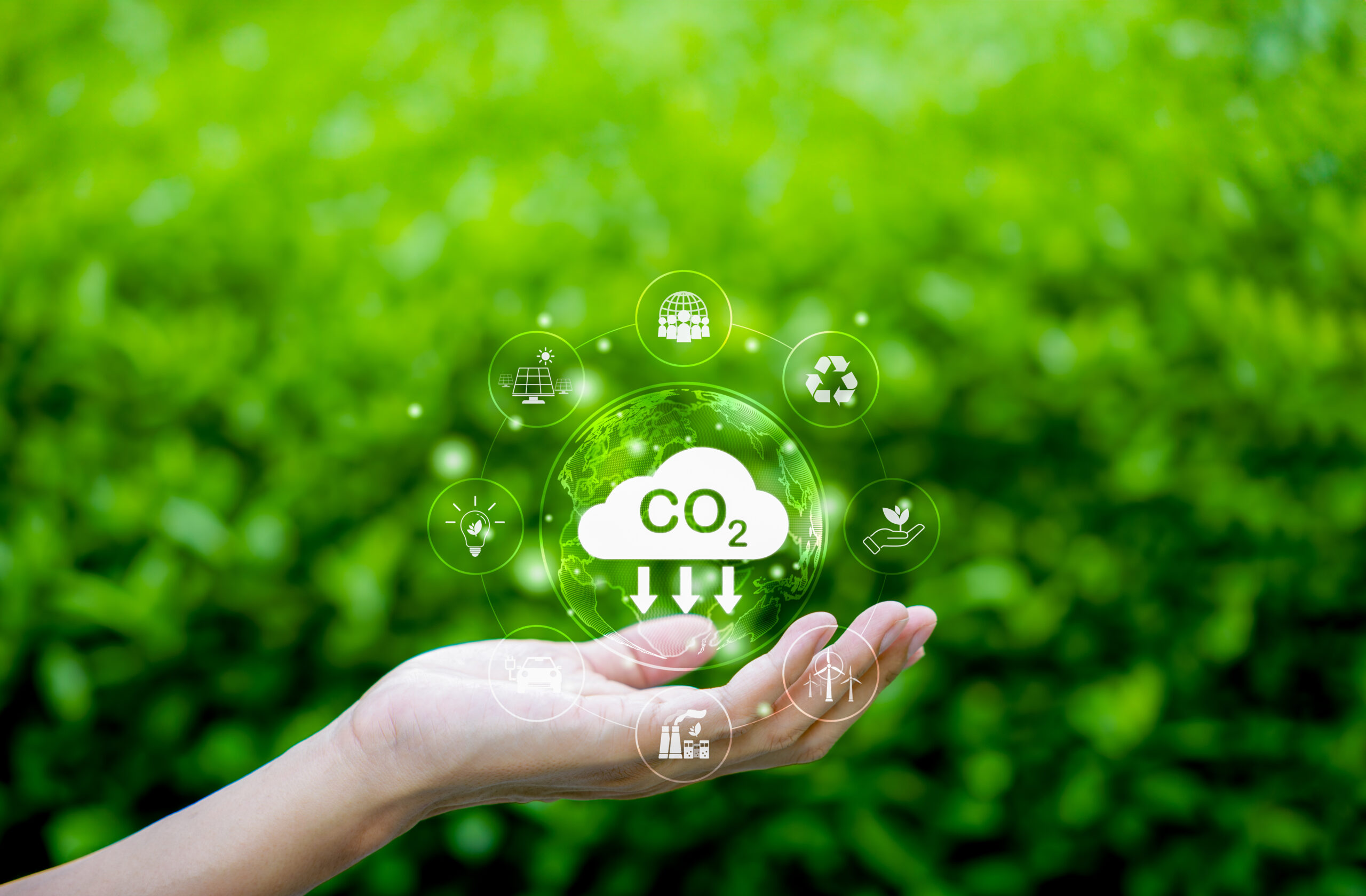 Grün kann günstig. Copyright: Supatman-istock-getty-images-plus