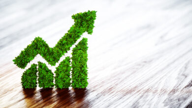 grüner Pfeil nach oben © Petmal iStock Getty Images Plus