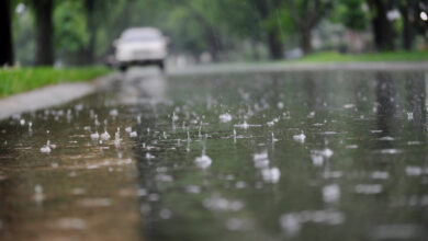 Der Umgang mit Starkregen und die Regenwassernutzung werden immer wichtigere Themen für die gesamte Baubranche.