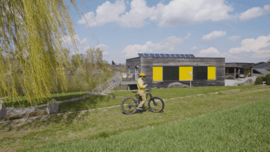 Leuchtturmobjekt EFH Selinger in Vorchdorf