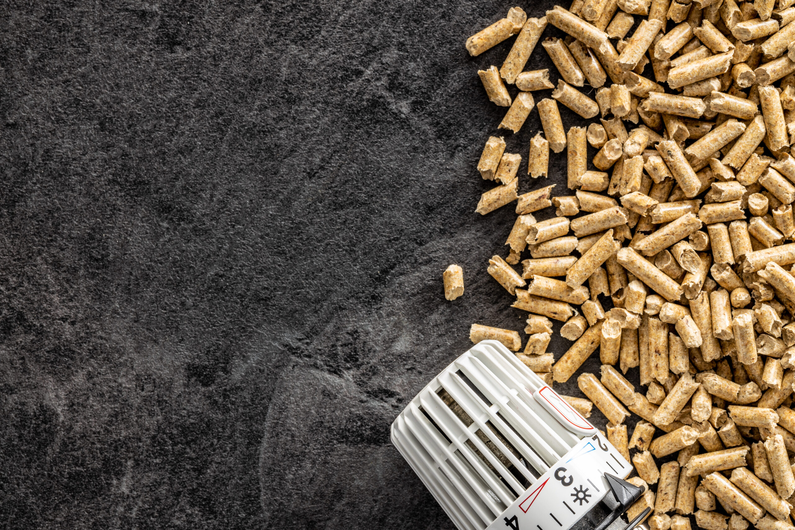 Holpellets und Thermostatkopf © jirkaejc iStock Getty Images Plus