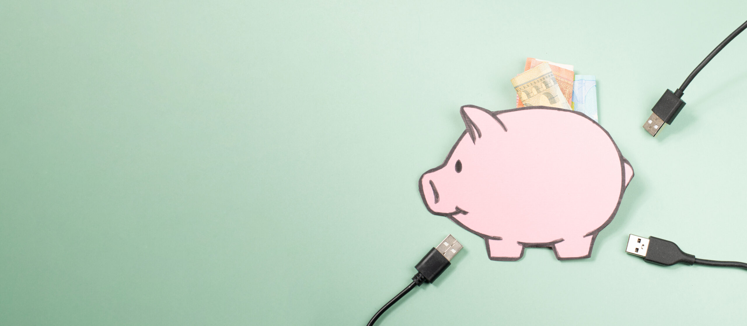 Sparschwein mit Kabeln © BeritK iStock Getty Images Plus
