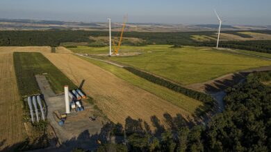 Windpark in Rumänien