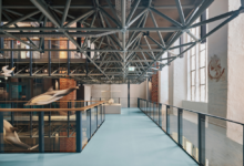 © Brigida González