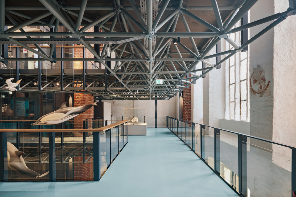 © Brigida González