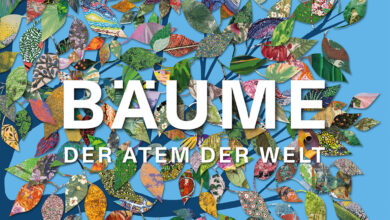 Ein neuer Bildband zeigt die Welt der Bäume in all ihrer Pracht. © Midas Verlag