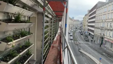 Begrünte Fassade an der TU Wien