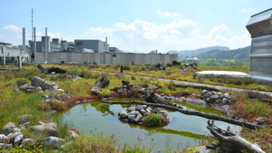 Neue Normen, innovative Materialien, komplexe Systemaufbauten sowie rechtliche Rahmenbedingungen erfordern spezialisiertes Fachwissen. Das neue Sachverständigen-Fachgebiet „Dach- und Fassadenbegrünung“ schafft mit Expert*innen Vergleichbarkeit und Rechtssicherheit. © Bauder