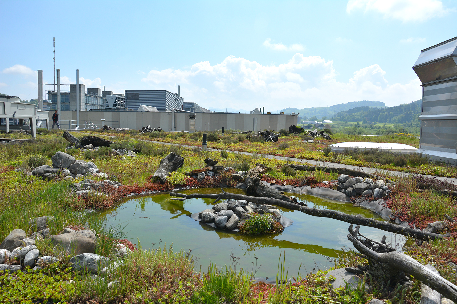 Neue Normen, innovative Materialien, komplexe Systemaufbauten sowie rechtliche Rahmenbedingungen erfordern spezialisiertes Fachwissen. Das neue Sachverständigen-Fachgebiet „Dach- und Fassadenbegrünung“ schafft mit Expert*innen Vergleichbarkeit und Rechtssicherheit. © Bauder