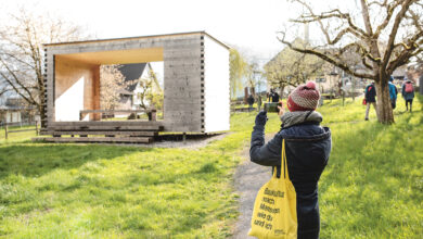 c_lippzahnschirm raneburger