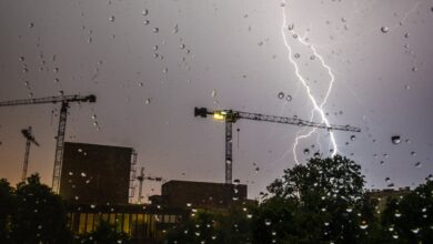 Düster im Dezember. Copyright: Damian Palus istock getty images plus