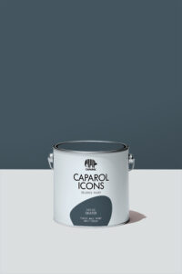 NO 65 Skater von Caparol Icons.© Caparol Icons