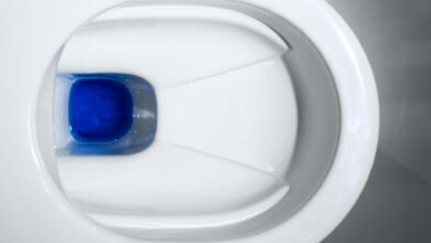 Urin-Trenn-WC Save von Laufen von oben. Copyright: Laufen