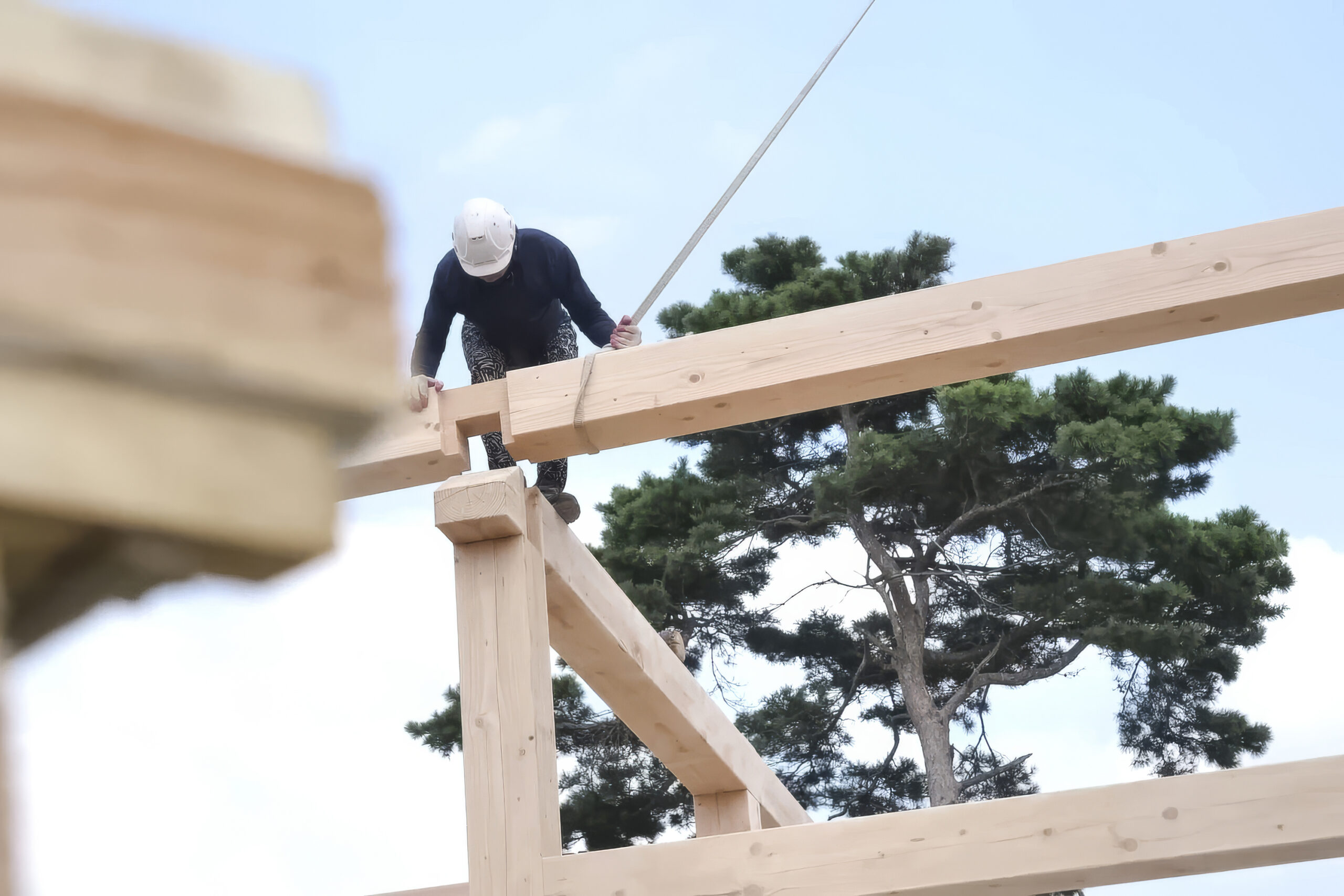 Nachhaltige Baustoffe sollen zum Standard werden