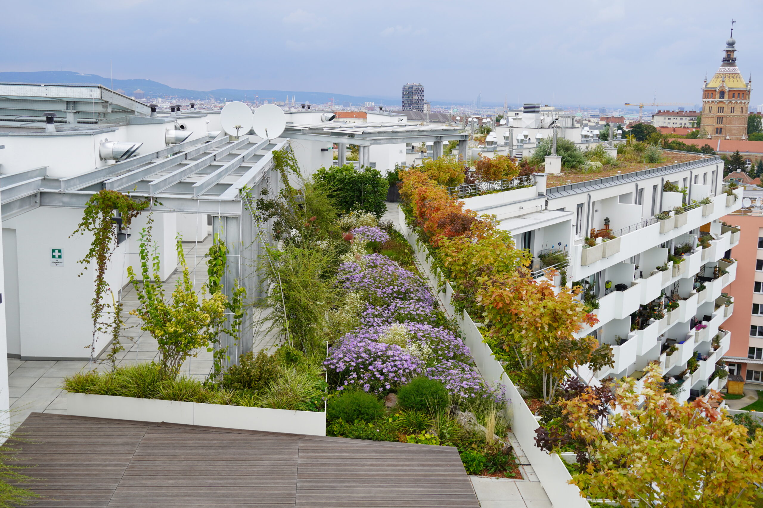 ÖNorm B 1131: Bauwerksbegrünung erstmals im Bauwesen verankert