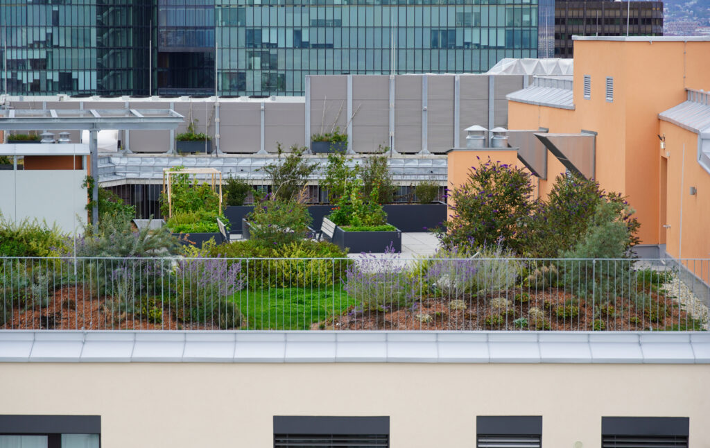 Begrünte Dachflächen wie diese stehen für den neuen Standard: Die ÖNorm B 1131 definiert Anforderungen an Aufbau, Nutzung und Pflege