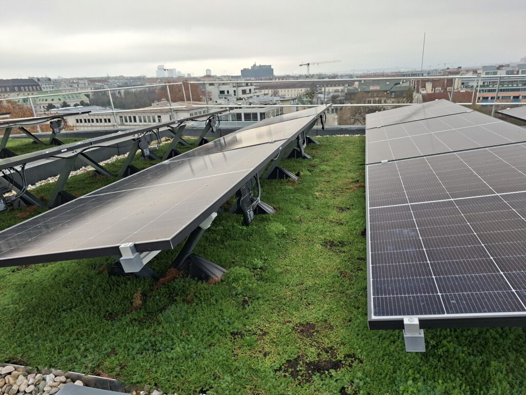 Die flach geneigten PV-Module sind in den extensiven Retentionsaufbau eingebunden und profitieren von der temperaturausgleichenden Wirkung der Vegetationsschicht. 