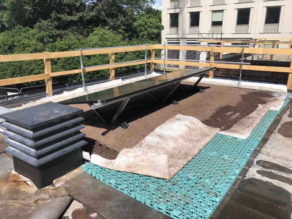 Musteraufbau des Retentions-Solar-Gründaches: Drain- und Retentionselemente, Filtervlies und Sub-stratschicht bilden die Basis für Begrünung und aufgeständerte Photovoltaik. 