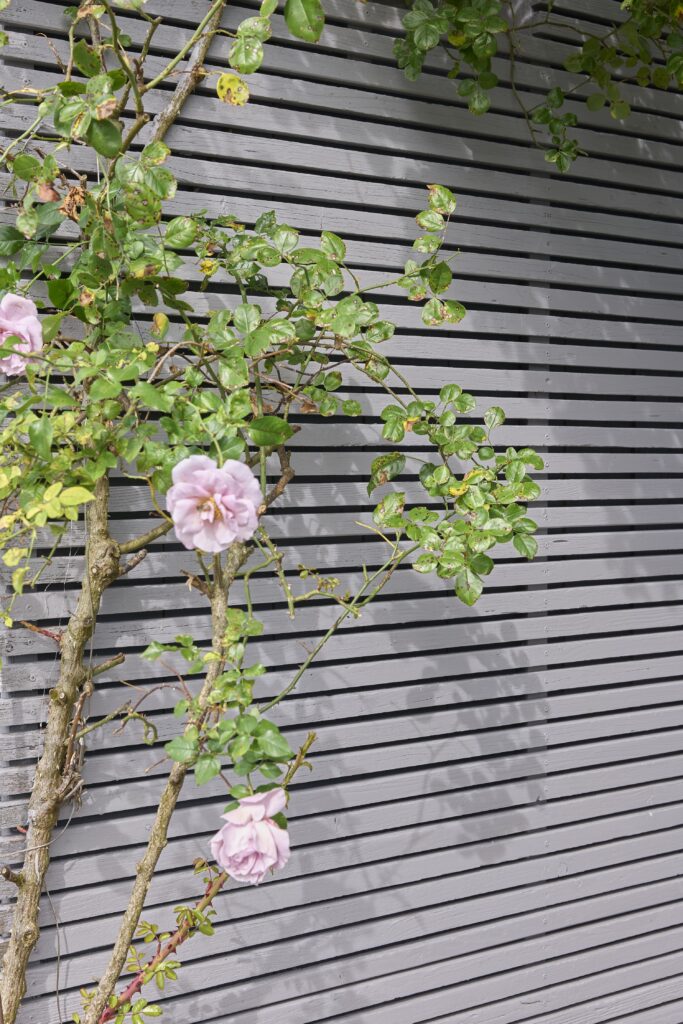 Volvox Öllasur im Außenbereich © Volvox