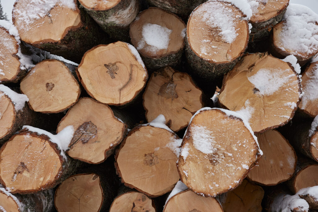 Eigenes Holz, das für die Möbelproduktion von Artek bestimmt ist. © Artek / Mikko Ryhänen