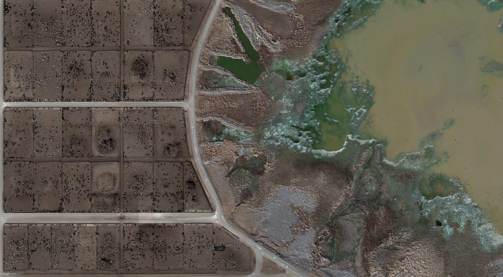 Luftaufnahme des Tascosa Feed Yard in Bushland, Texas, die die weitläufige, gitterartige Anordnung einer der großen Rinderaufzuchtbetriebe der High Plains zeigt. Google Earth, Airbus, Maxar Technologies, 2025.