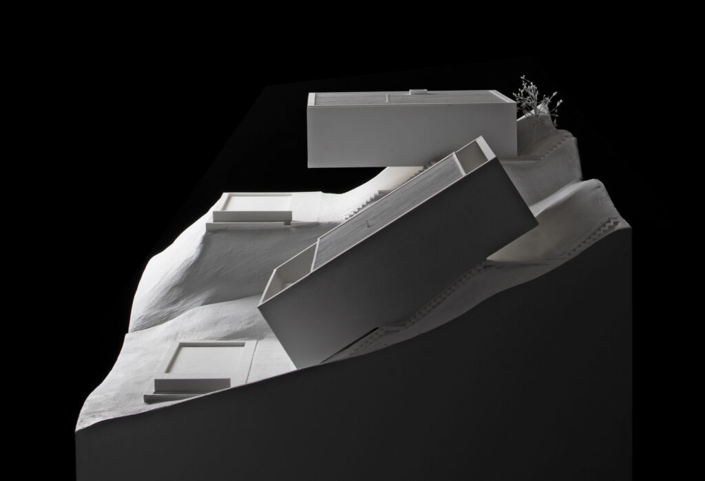Eduardo Souto de Moura, Two houses in Ponte de Lima, 2001 – 02