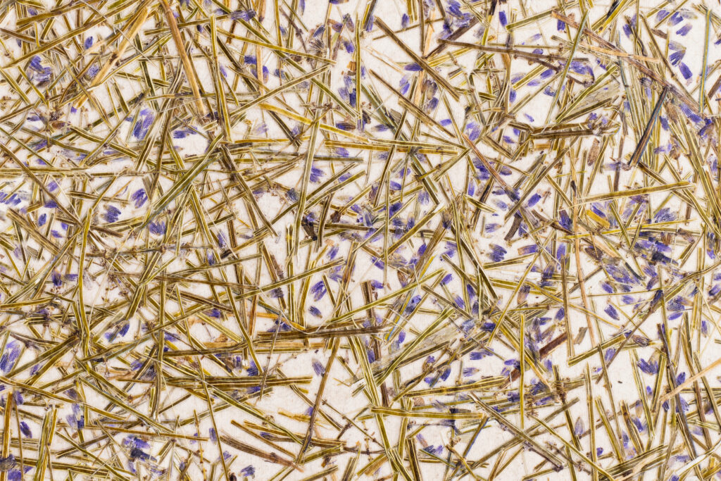 Lavendel Medium auf Flachsvlies als Trägerschicht