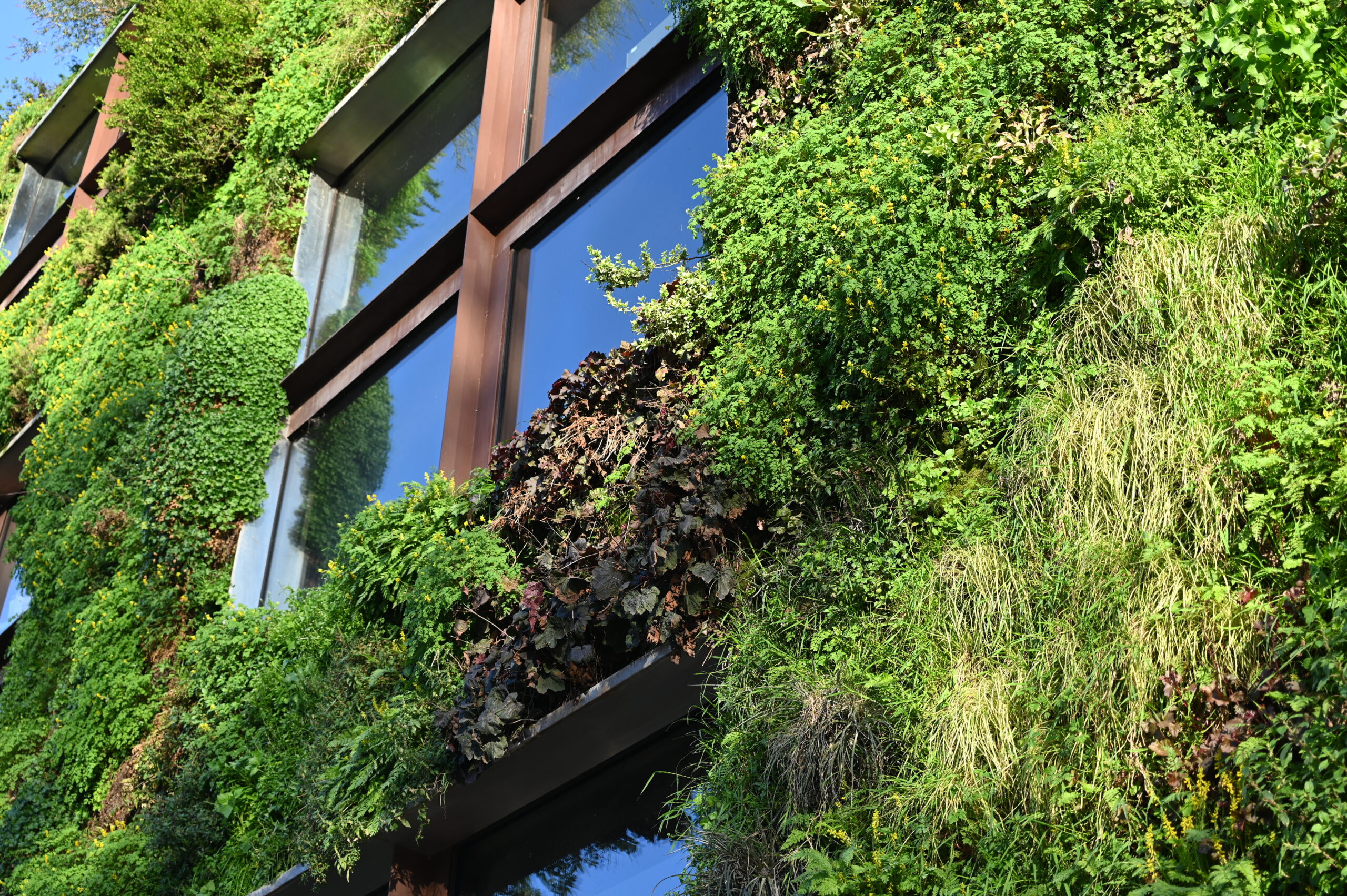 Strategien für klimaresilientes Bauen