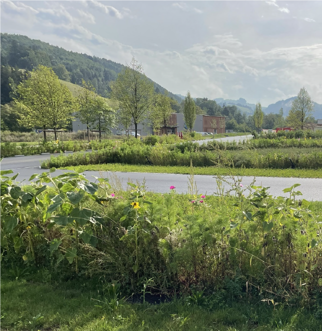 Grünraumgestaltung Kreilhof