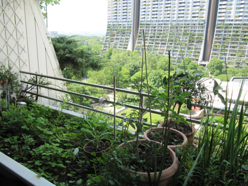 Bepflanzter balkon im Wohnpark Alt Erlaa