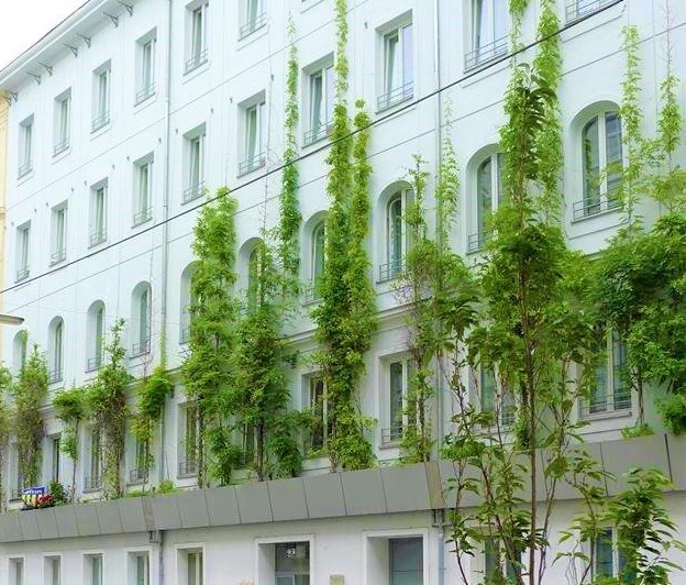 Bei straßenseitigen Fassadenbegrünungen liegt die maximale Förderung bei 10.000 Euro. Für Fassadenbegrünungen auf Privatgrundstücken stehen bis zu 5.000 Euro zur Verfügung.