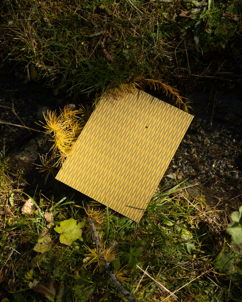 5727 Fishbone Yellow